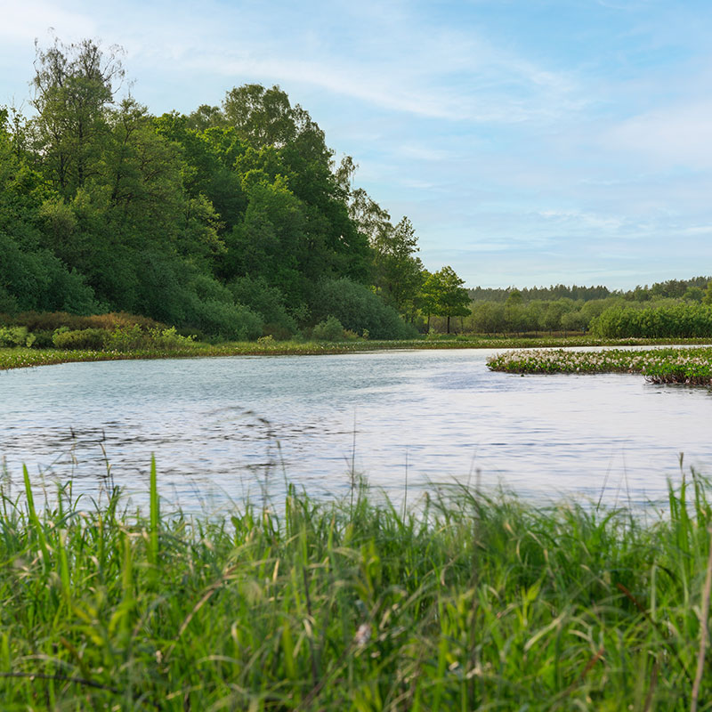 See in Schweden